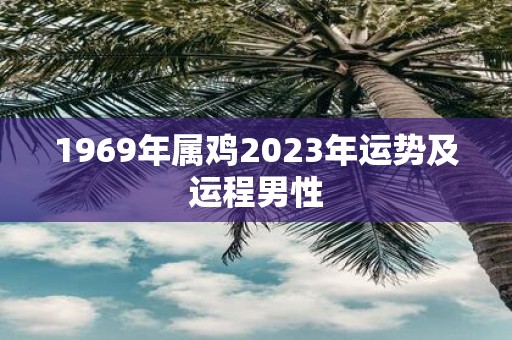 1969年属鸡2023年运势及运程男性