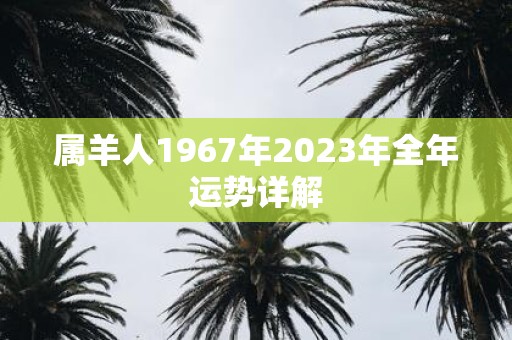 属羊人1967年2023年全年运势详解