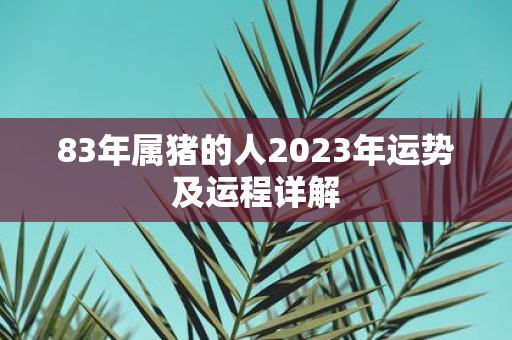 83年属猪的人2023年运势及运程详解