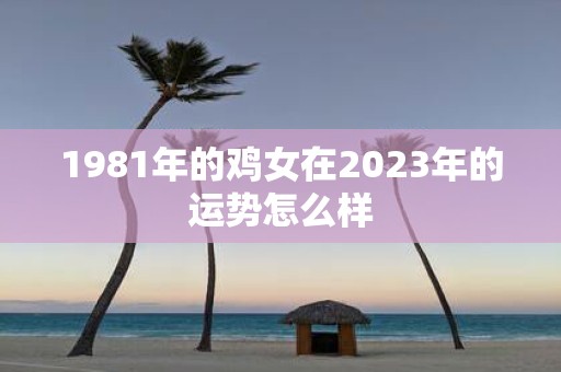 1981年的鸡女在2023年的运势怎么样