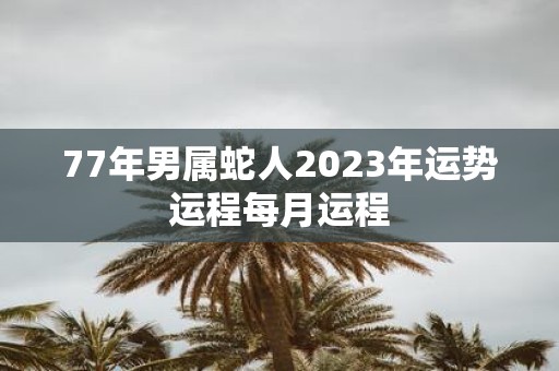 77年男属蛇人2023年运势运程每月运程