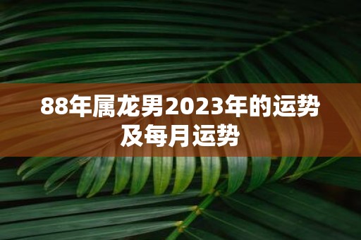 88年属龙男2023年的运势及每月运势