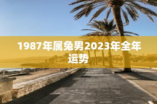 1987年属兔男2023年全年运势