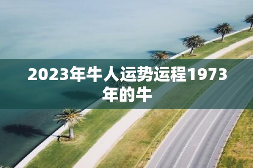 2023年牛人运势运程1973年的牛