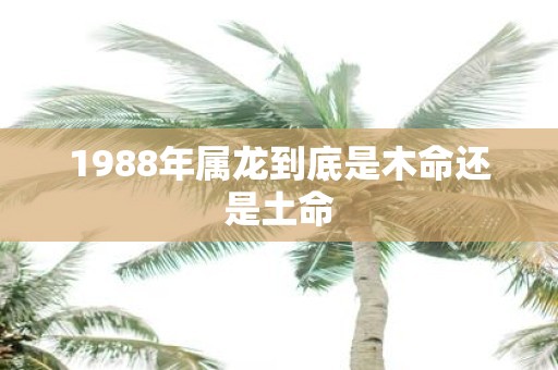 1988年属龙到底是木命还是土命