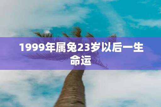 1999年属兔23岁以后一生命运