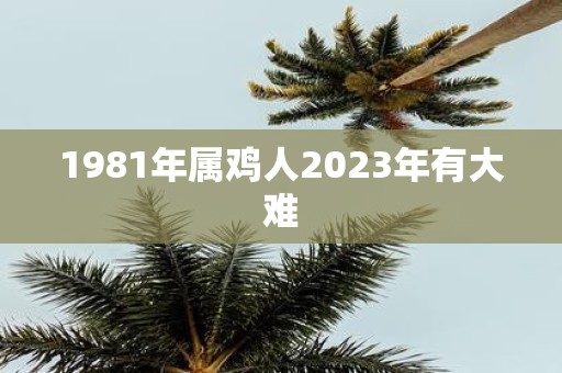 1981年属鸡人2023年有大难