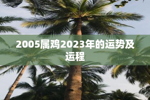 2005属鸡2023年的运势及运程